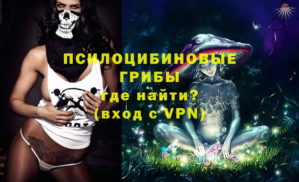 гашик Иннополис