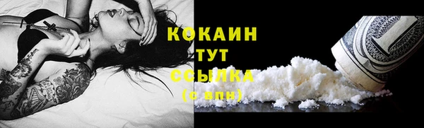 дживик Инсар