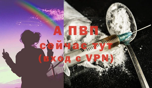 дживик Инсар