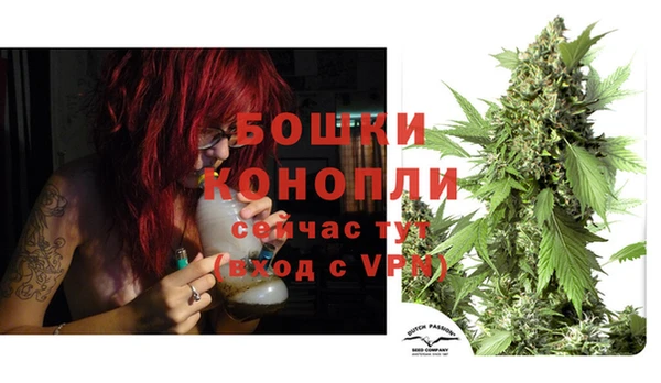 спиды Инта