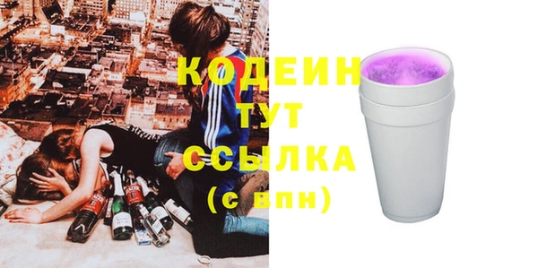 гашик Иннополис