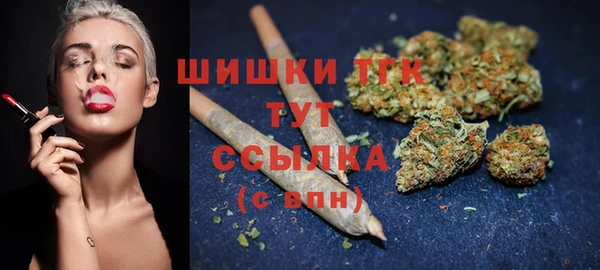 дживик Инсар
