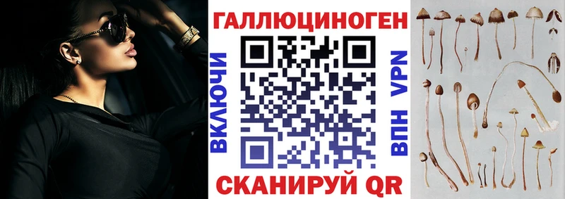 Купить закладки  Бирюсинск  Псилоцибиновые грибы мицелий 