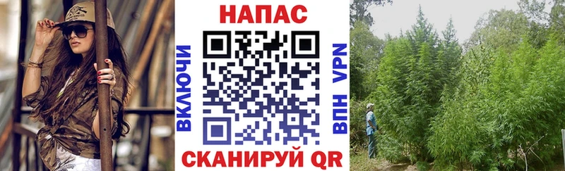 Купить  Бирюсинск  Конопля семена 